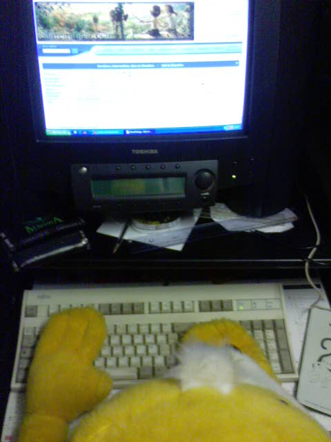 Image IPB